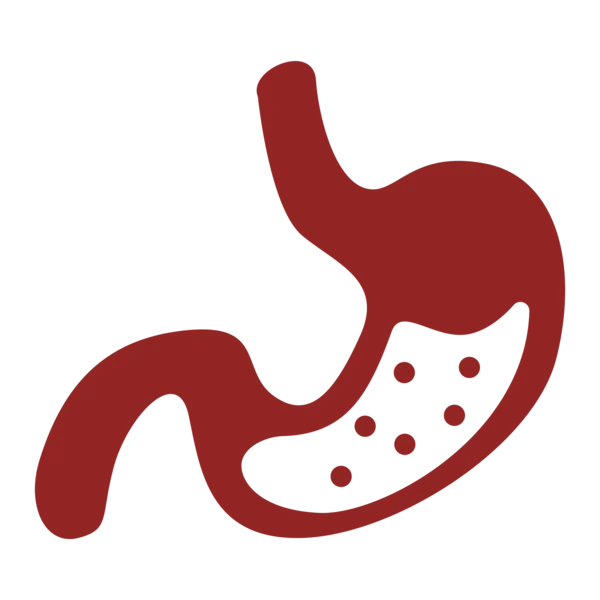 Ícono de digestión